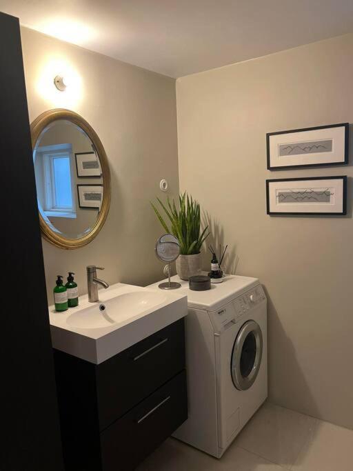 New Cozy Bohemian Dowtown Reykjavik Apartment Exteriör bild